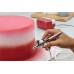 Cake Boss Airbrushing Kit BQSS1474